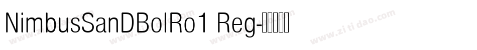 NimbusSanDBolRo1 Reg字体转换